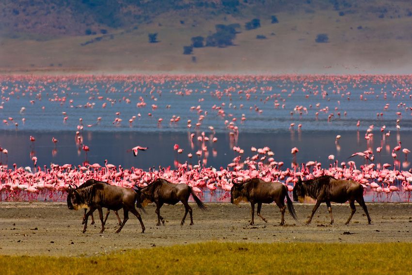 Lake Nakuru National Park