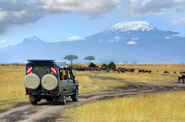10-Day Best of Kenya Safari