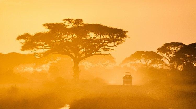 The New Era of Safari: Why 2026 Is All About Going Slowly