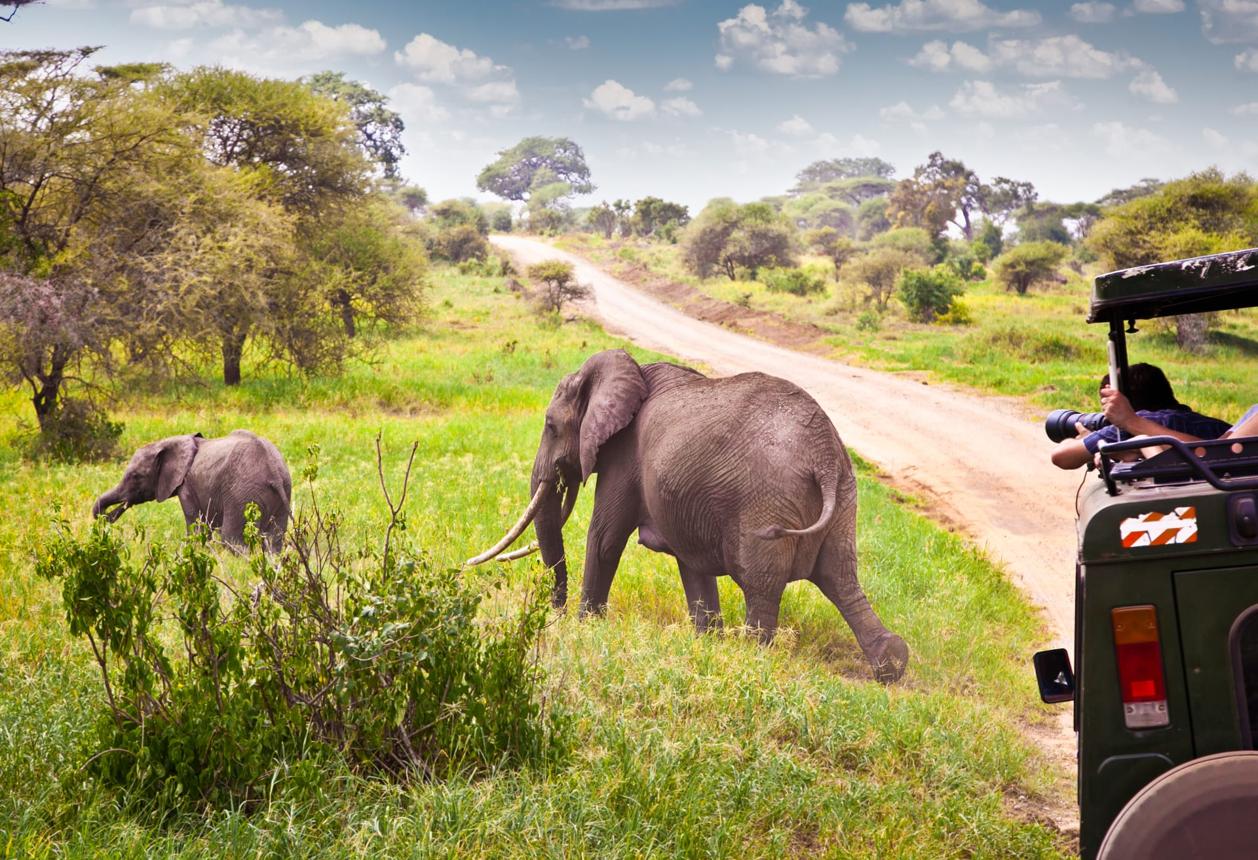 A Photographer’s Guide to the Perfect Kenyan Safari