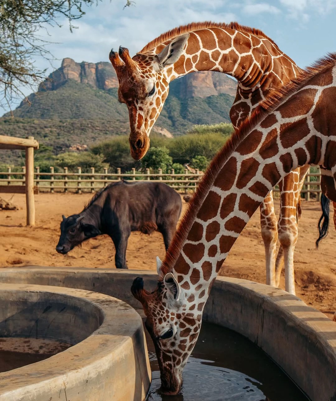 Samburu National Reserve
