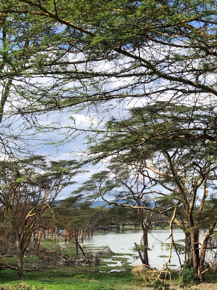 Lake Naivasha