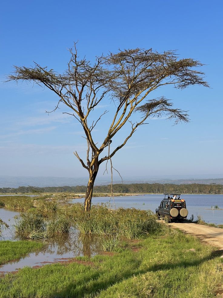 Lake Nakuru