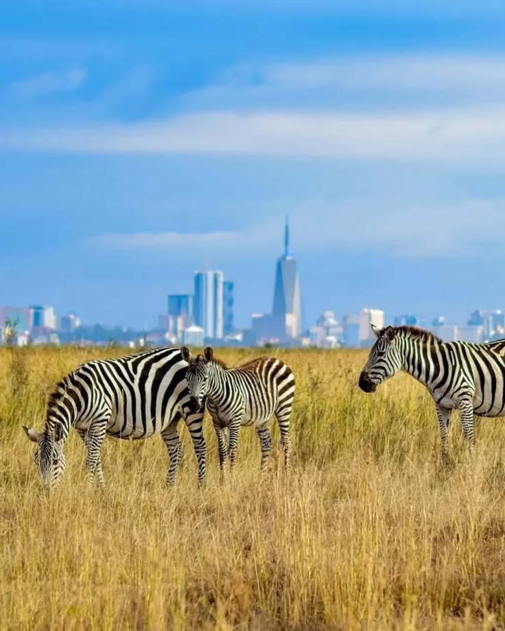 Nairobi National Park