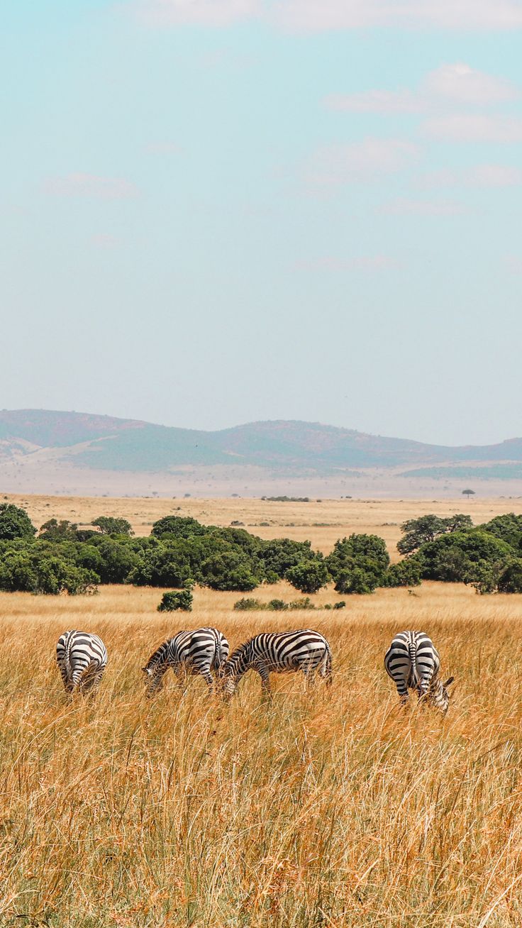 Maasai Mara National Reserve