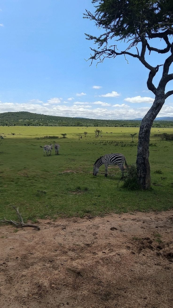 Maasai Mara National Reserve